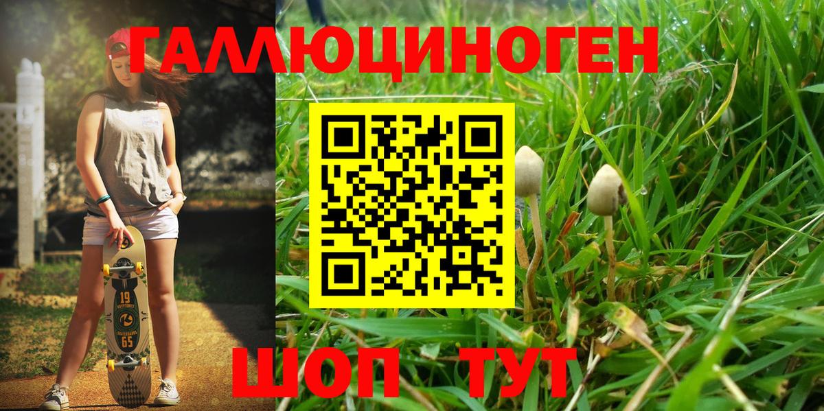 Псилоцибиновые грибы мухоморы  Вход с VPN  Тайшет 